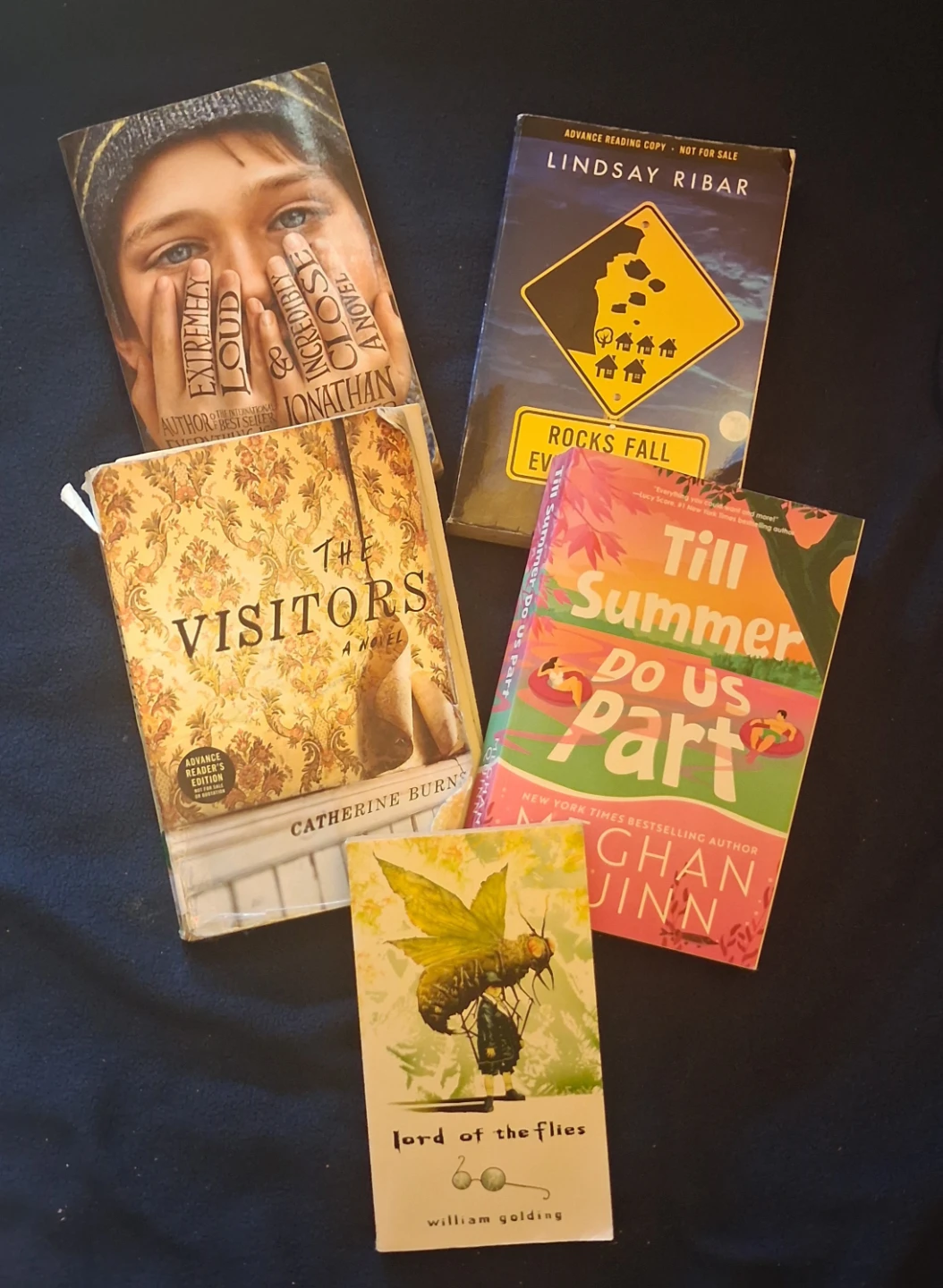 Set of 5 Assorted Fiction Novels