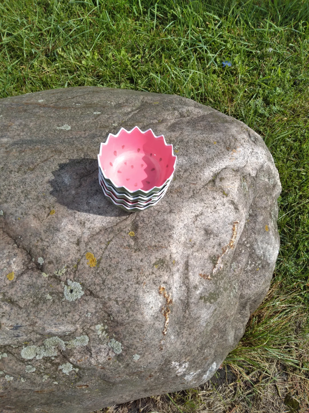 Set of 4 Watermelon-Themed Bowls - photo 5