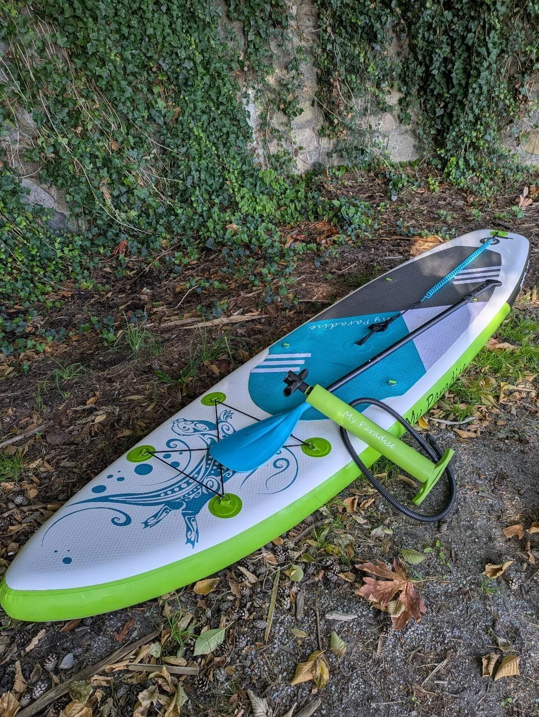 Paddleboard (My Paradise) - photo 4