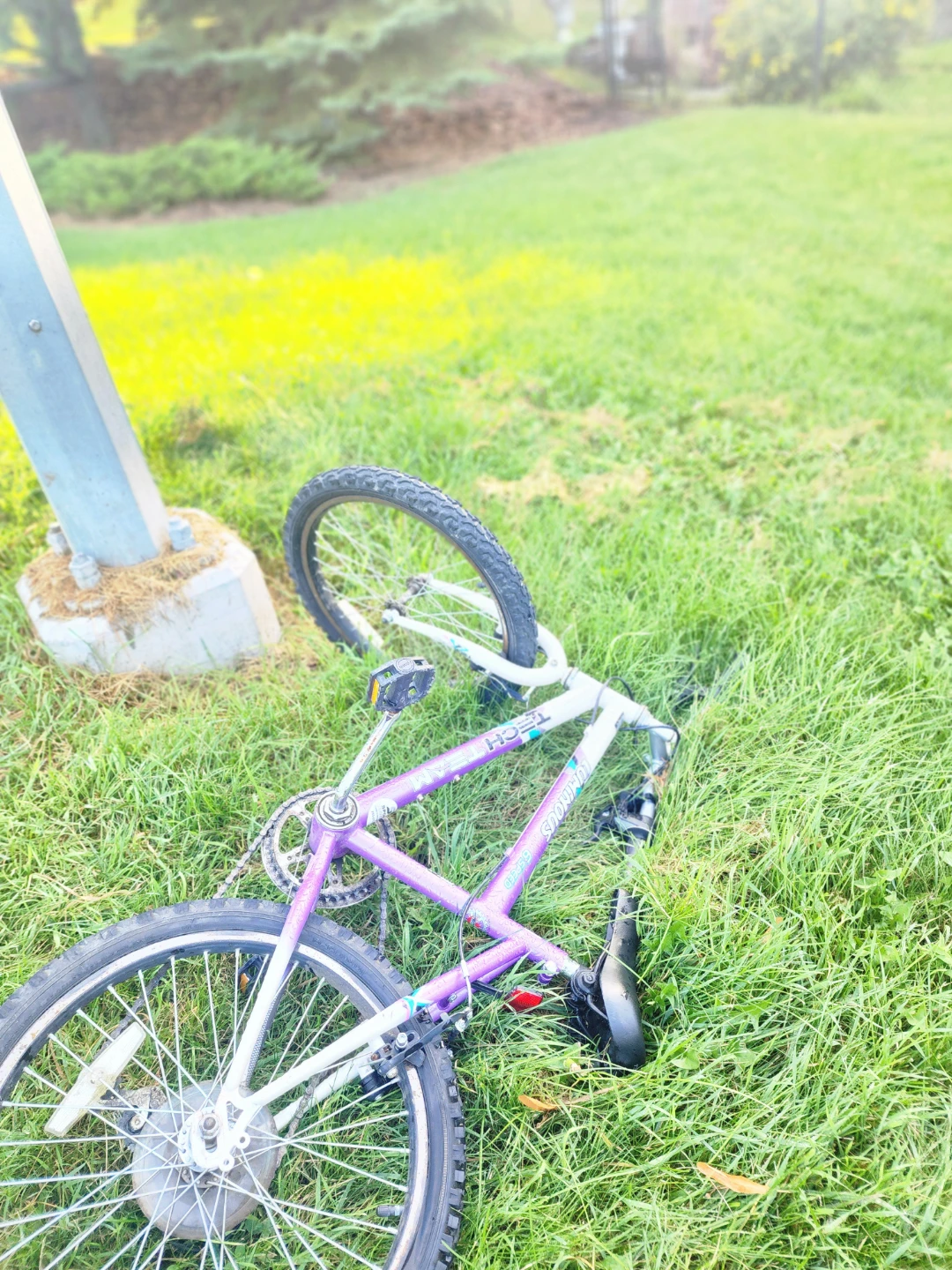 Free youth bike - photo 2