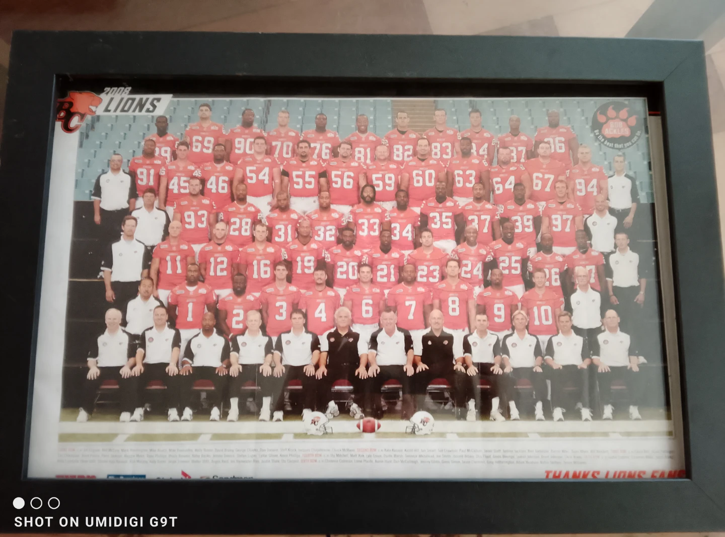 2008 BC Lions Framed Team Photo