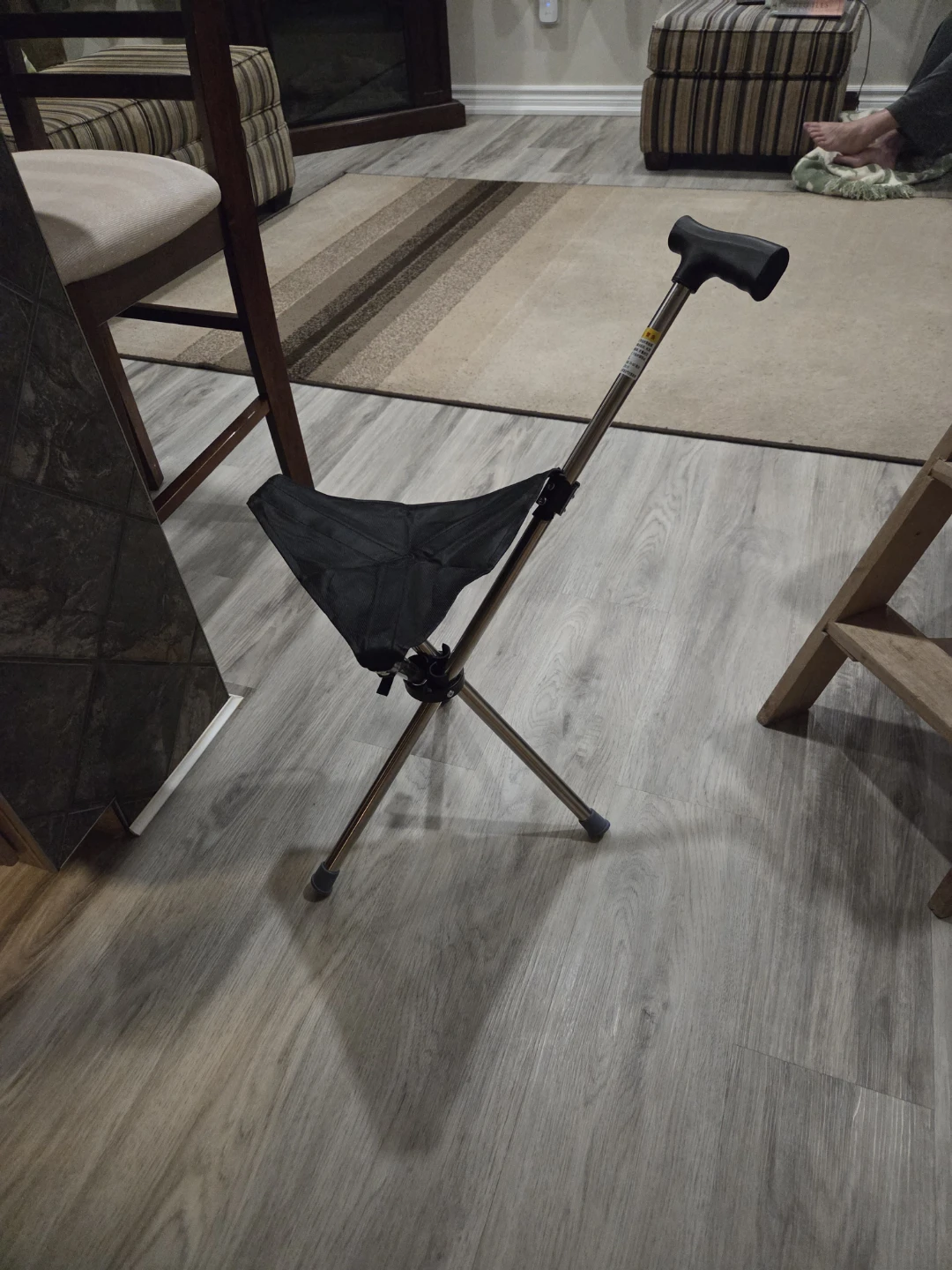 Folding Cane Seat