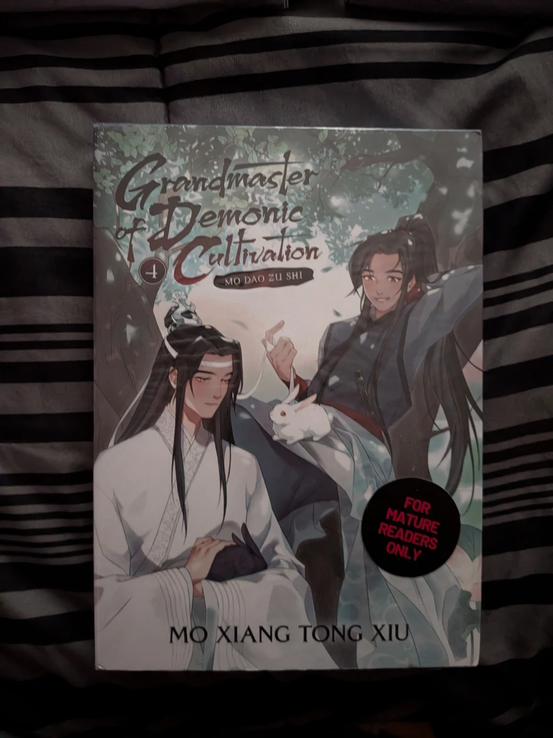Grandmaster of Demonic Cultivation Novels Vol 1-5 & Comics 1-4 - photo 5