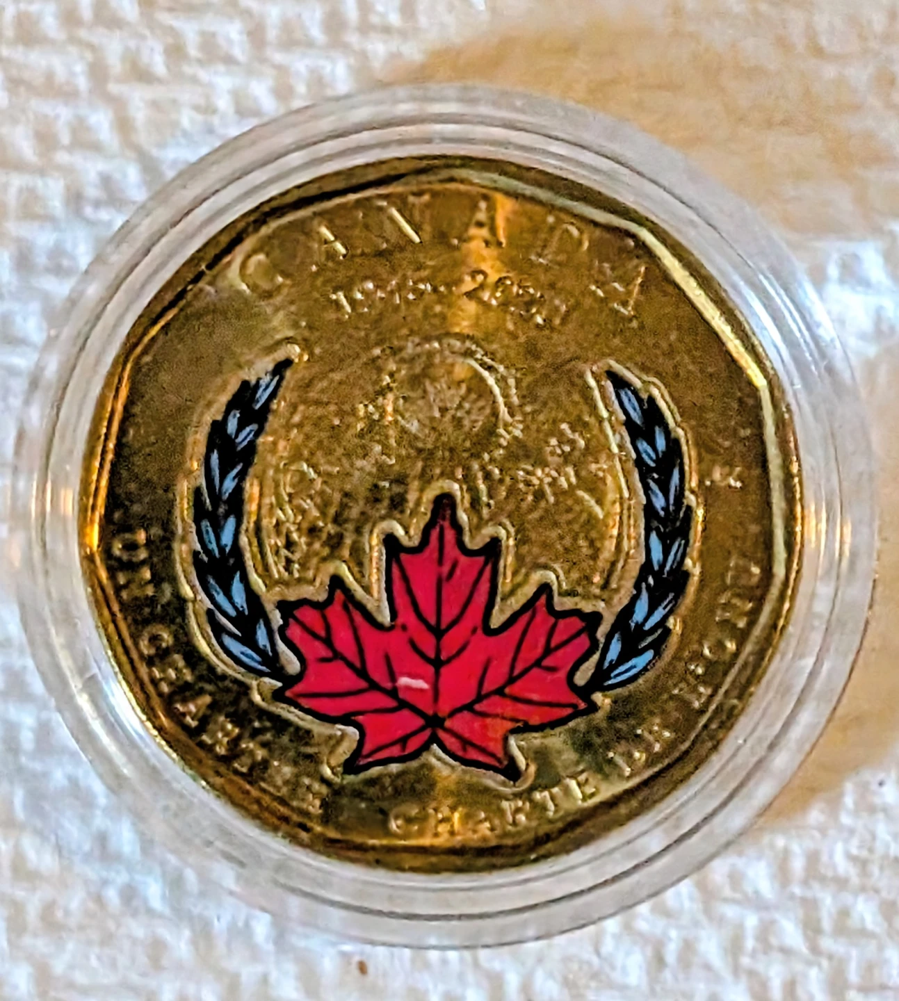 Complete Loonie Collection - Set of 8 - photo 3