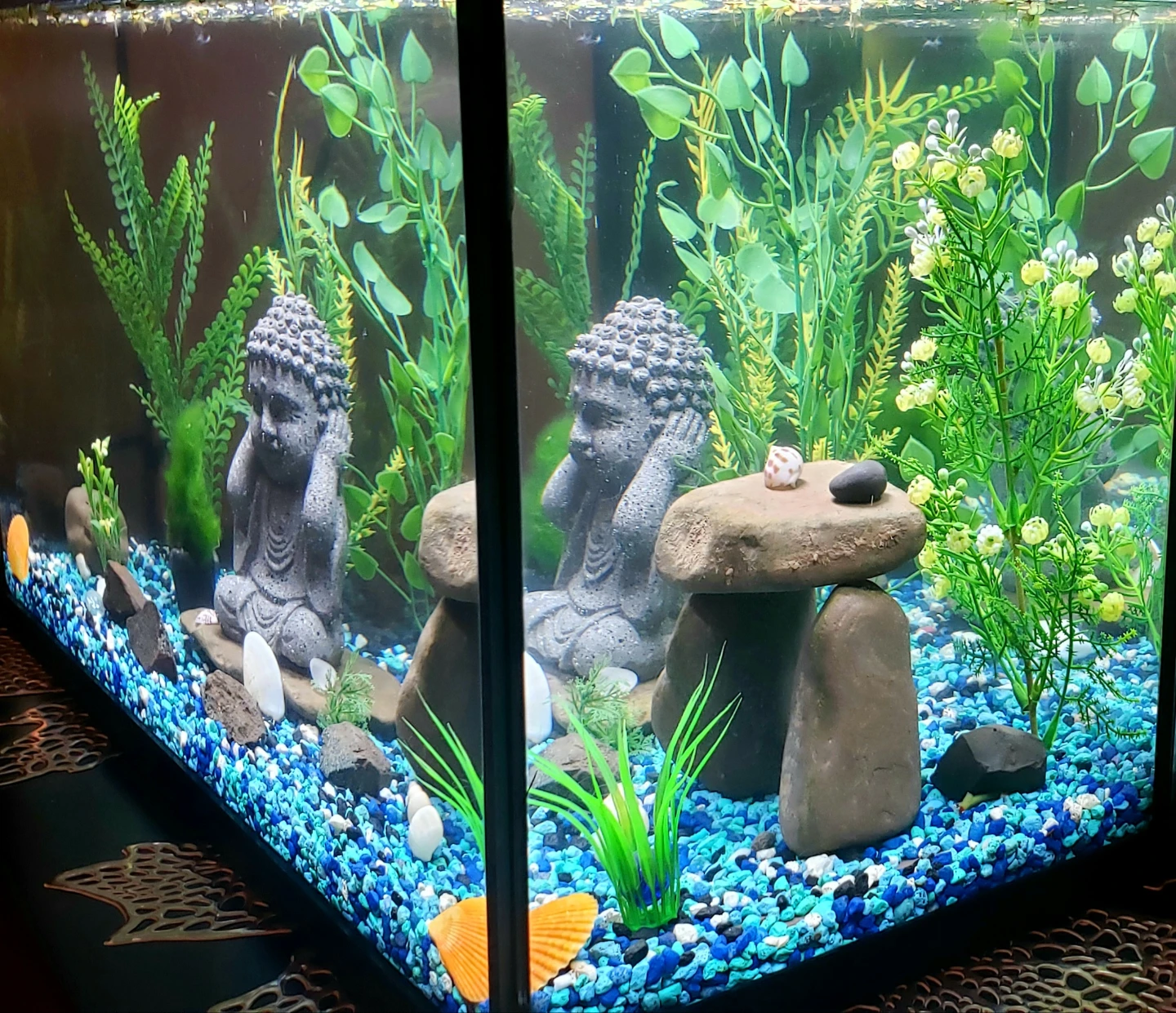 Aquarium 10 Gal COMPLETE SETUP - photo 3