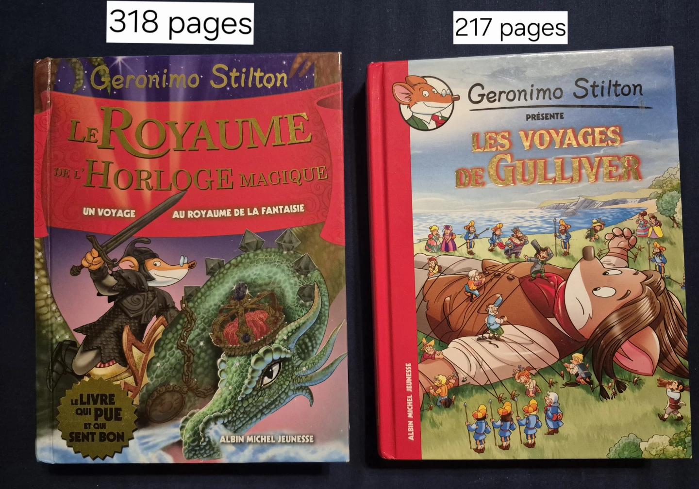 Geronimo Stilton French Hardcover Books