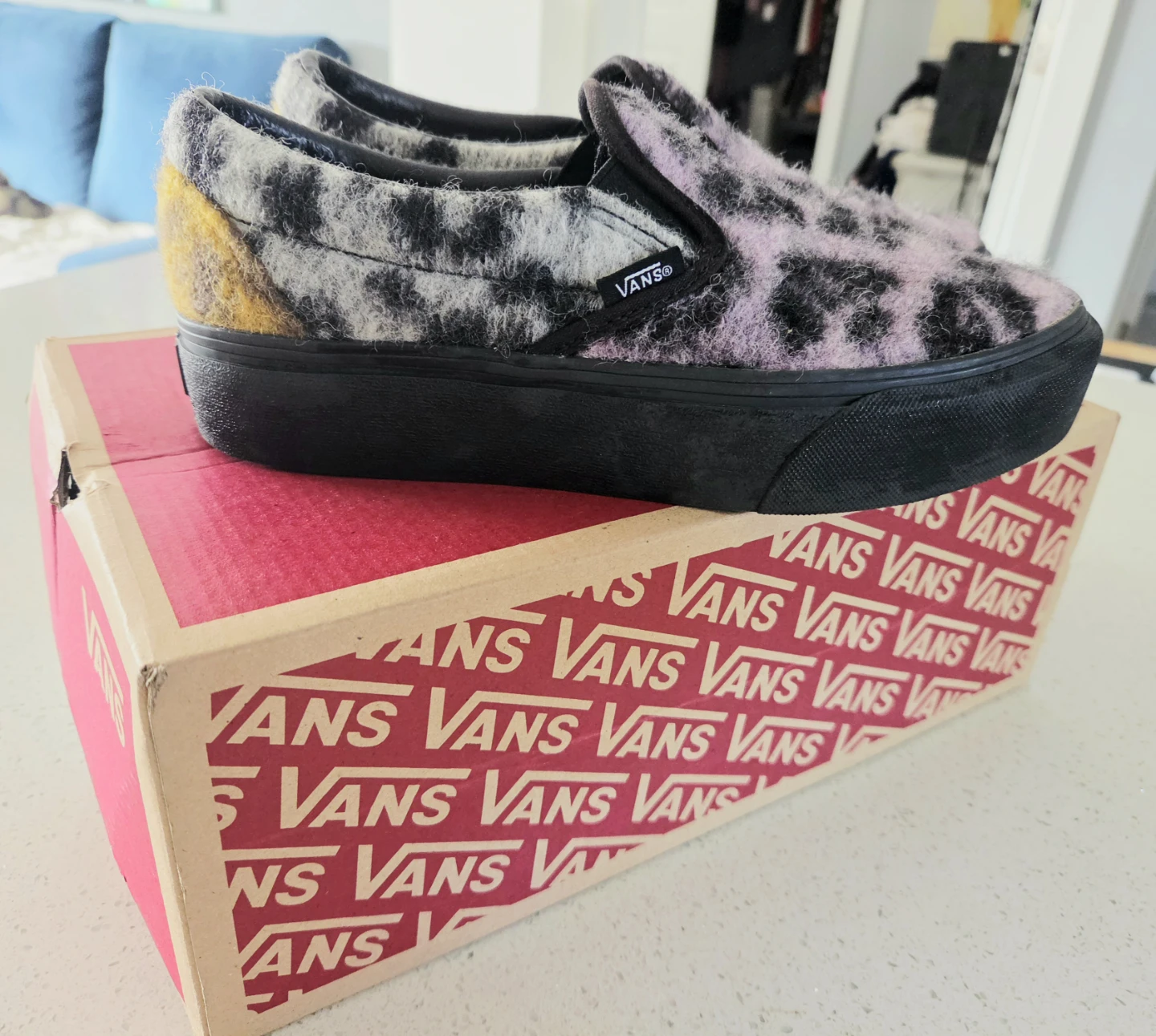 Vans Slip-On Platform Shoes