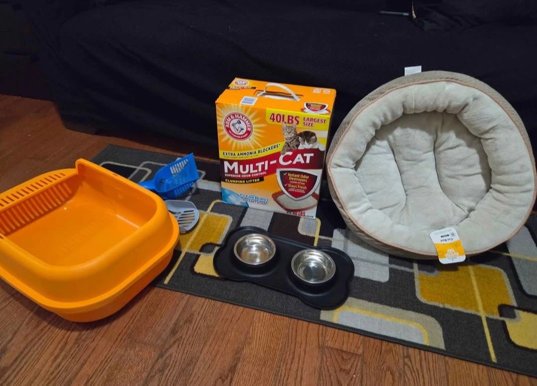 Assorted Cat Supplies Bundle