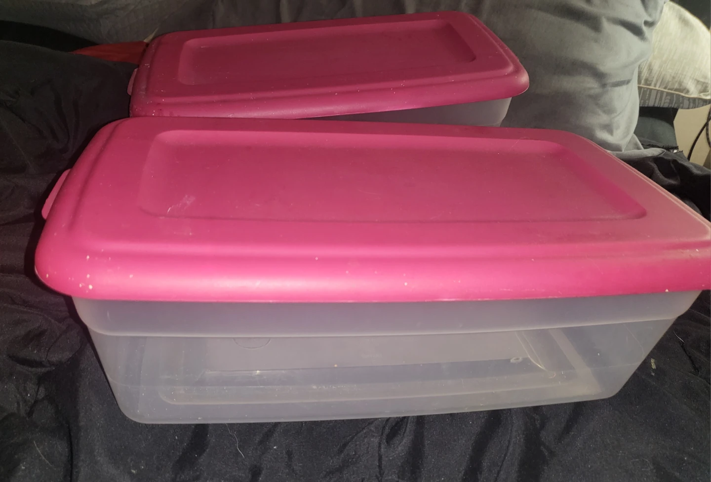 Two clear plastic storage bins with pink lids - photo 2
