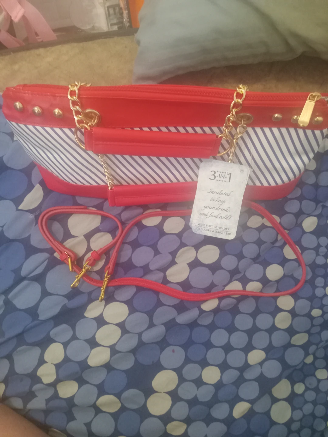 3-in-1 Insulated Bag