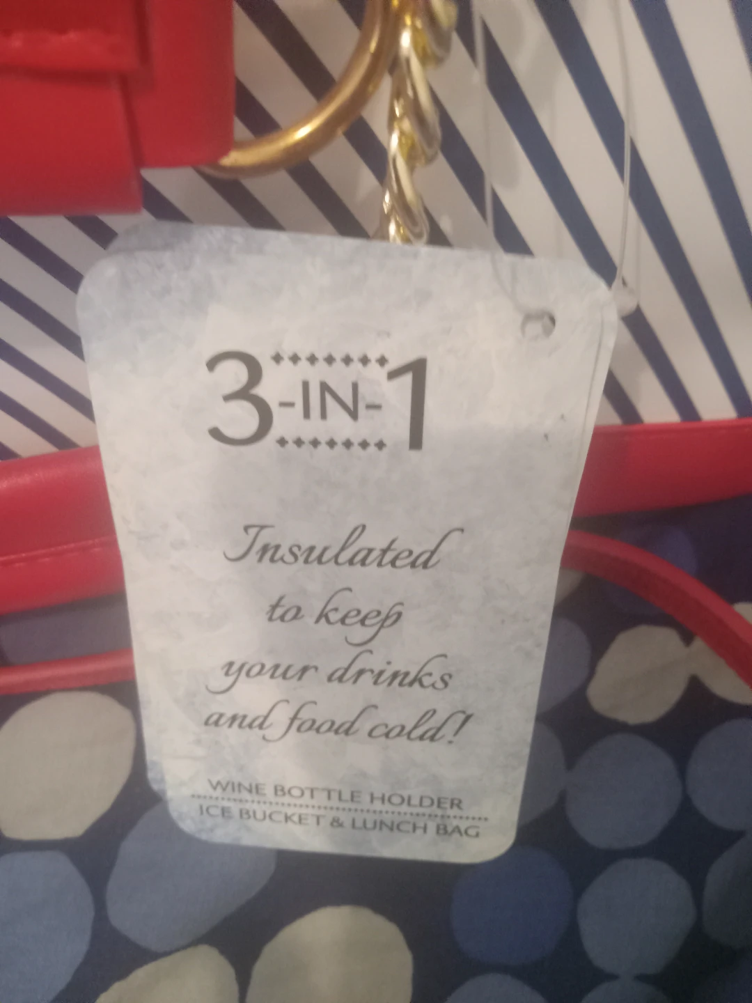 3-in-1 Insulated Bag - photo 3
