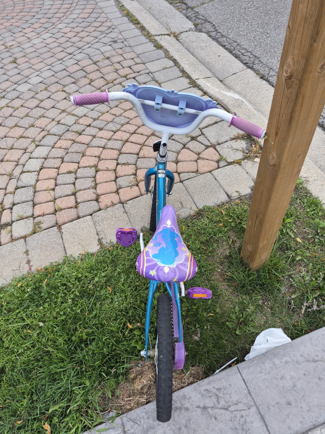 Little girls princess Jasmine bike for sale $65[OBO]