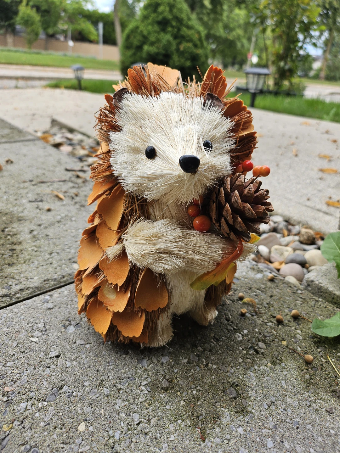 Autumn Decorations - photo 4