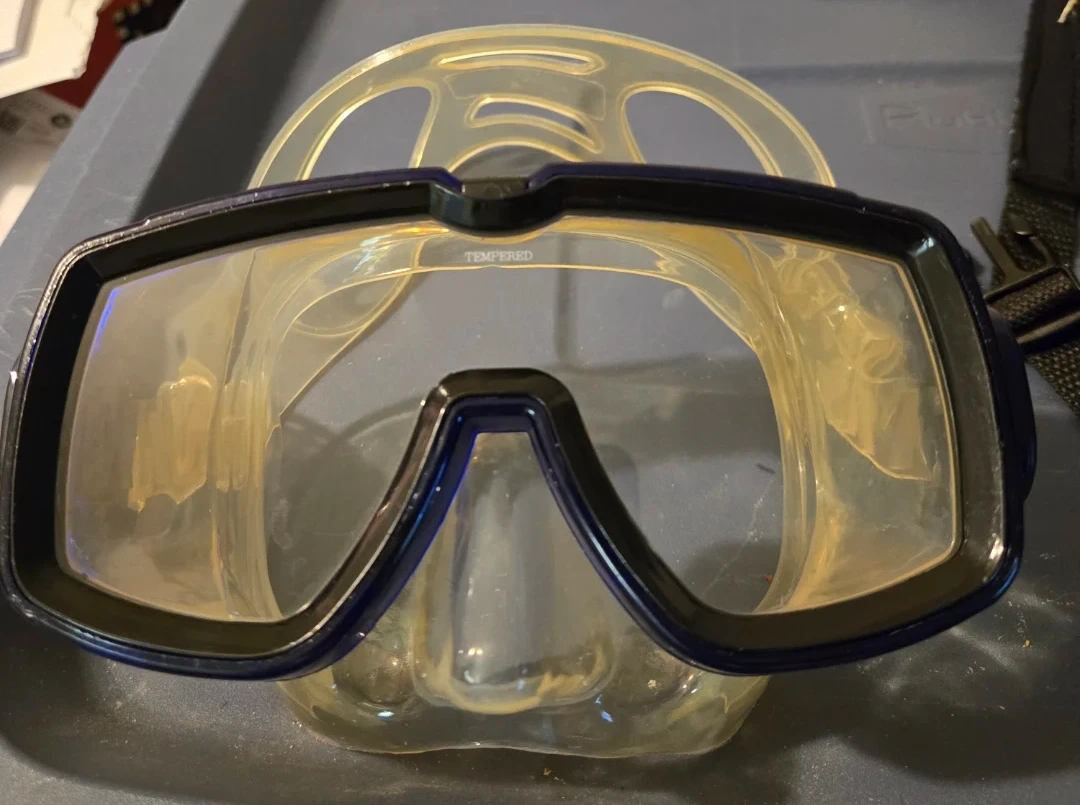 Snorkel Mask