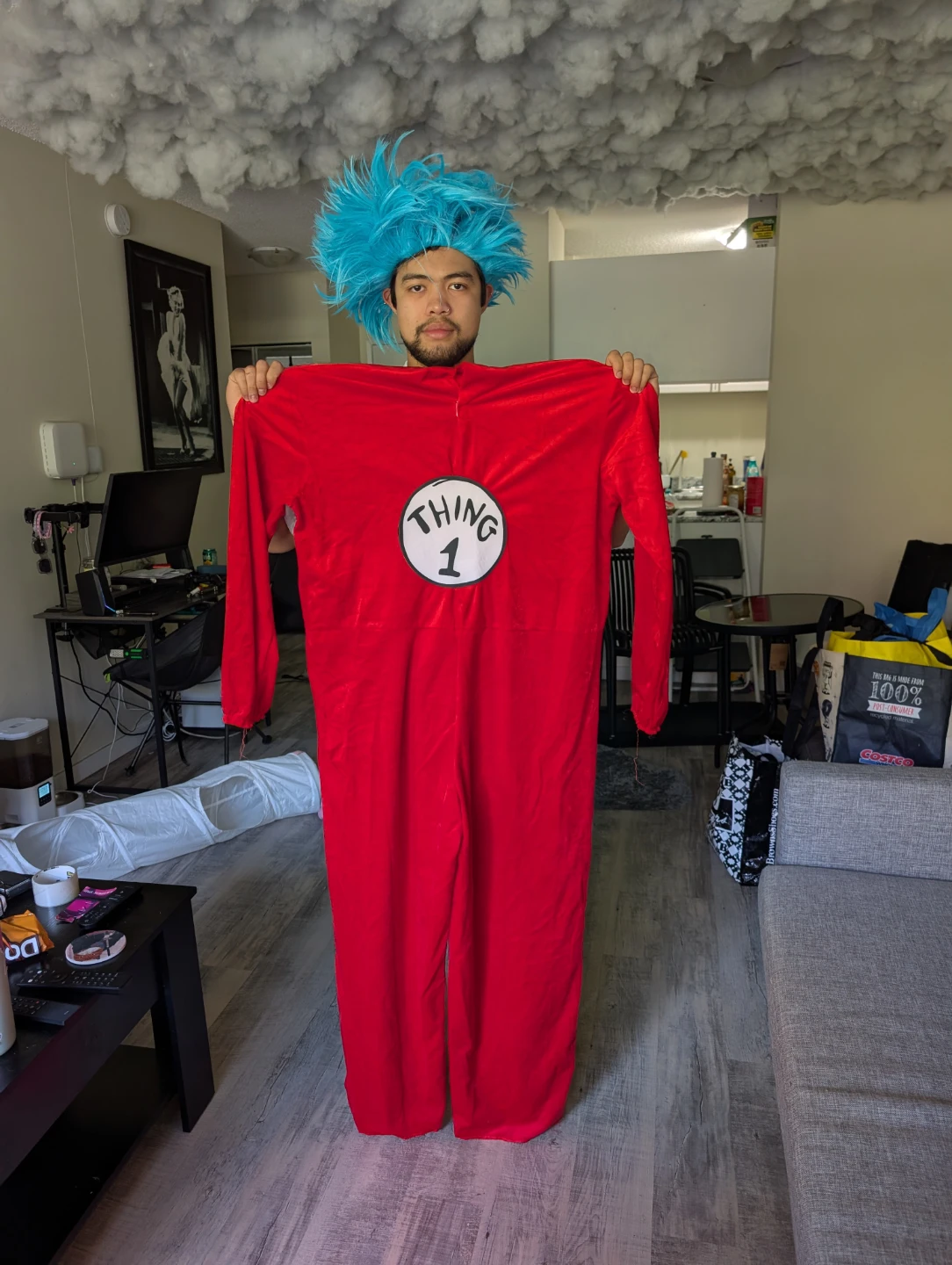 Thing 1 Thing 2 Couples Costume - photo 4