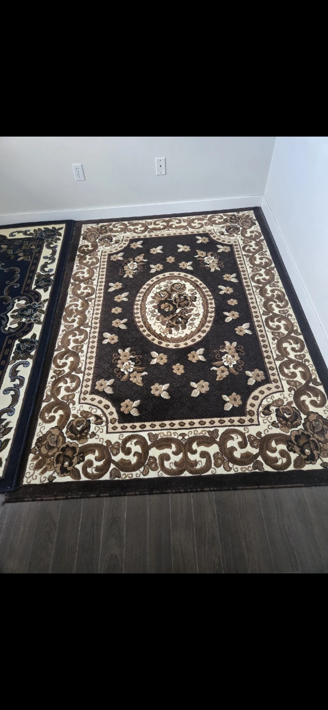 Two Decorative Area Rugs