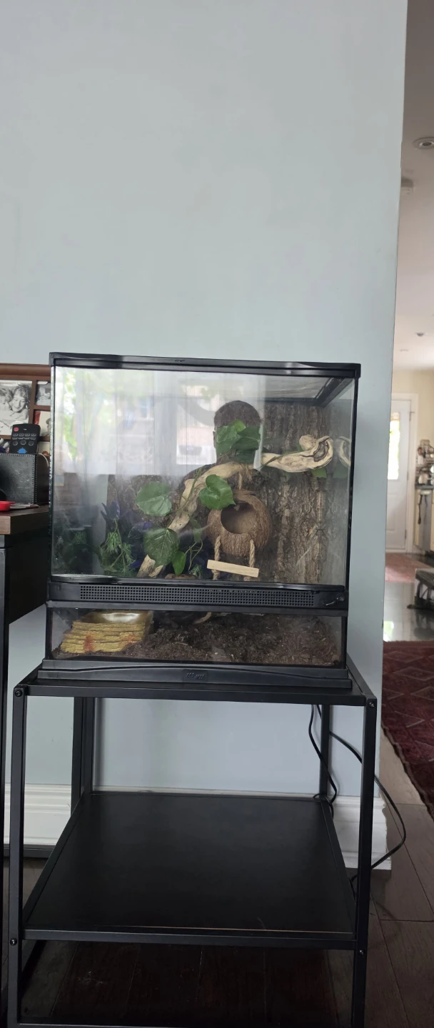25 Gallon 18” x 18” x 18” Terrarium + Stand & Accessories