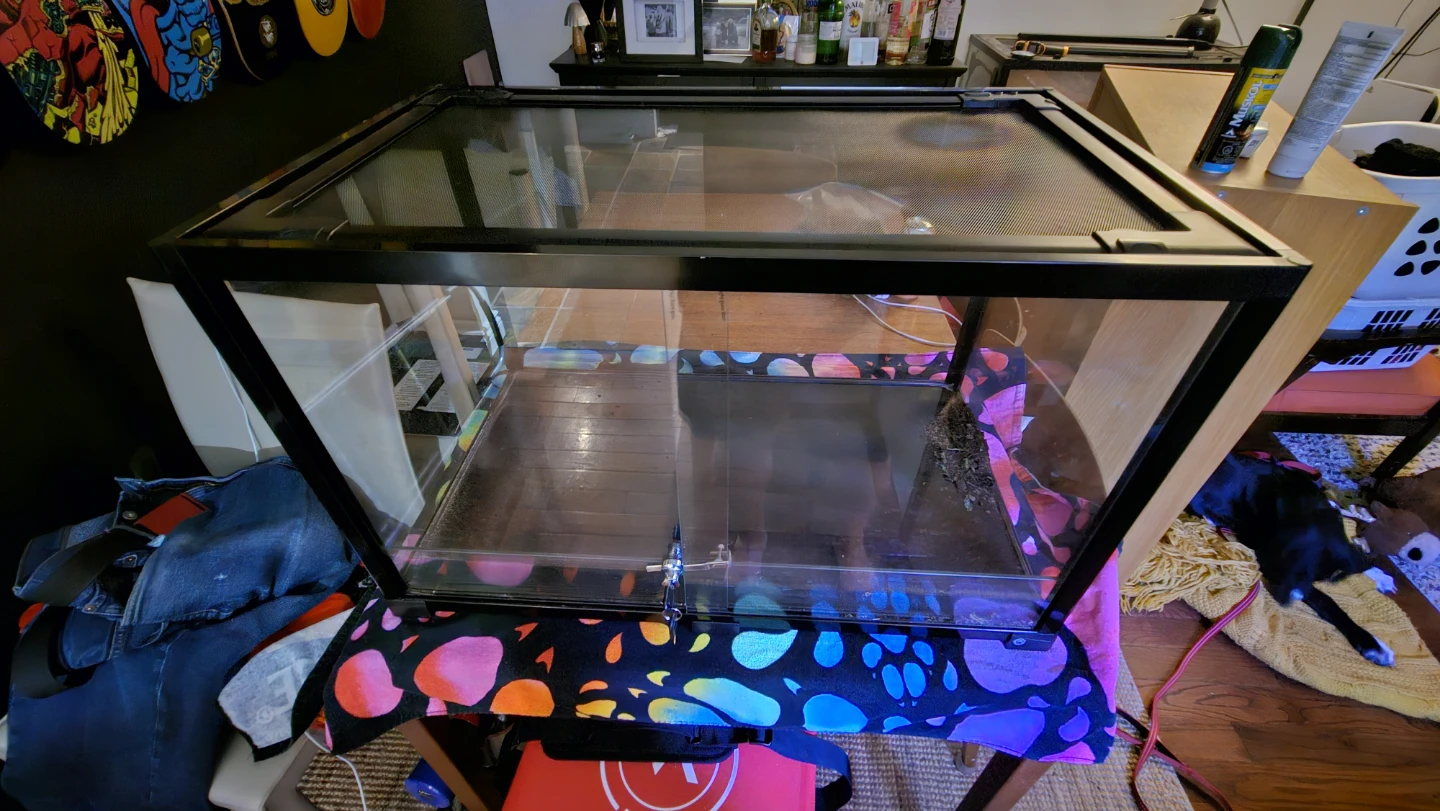 Terrarium Reptile Tank