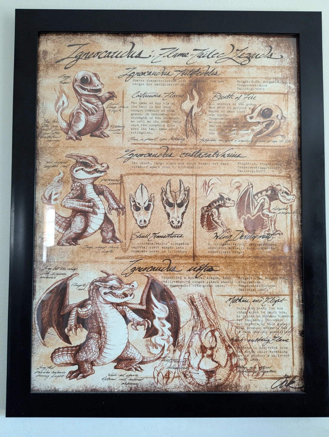 Original Starting Pokemon "Studies of Evolution" Poster Series - photo 3