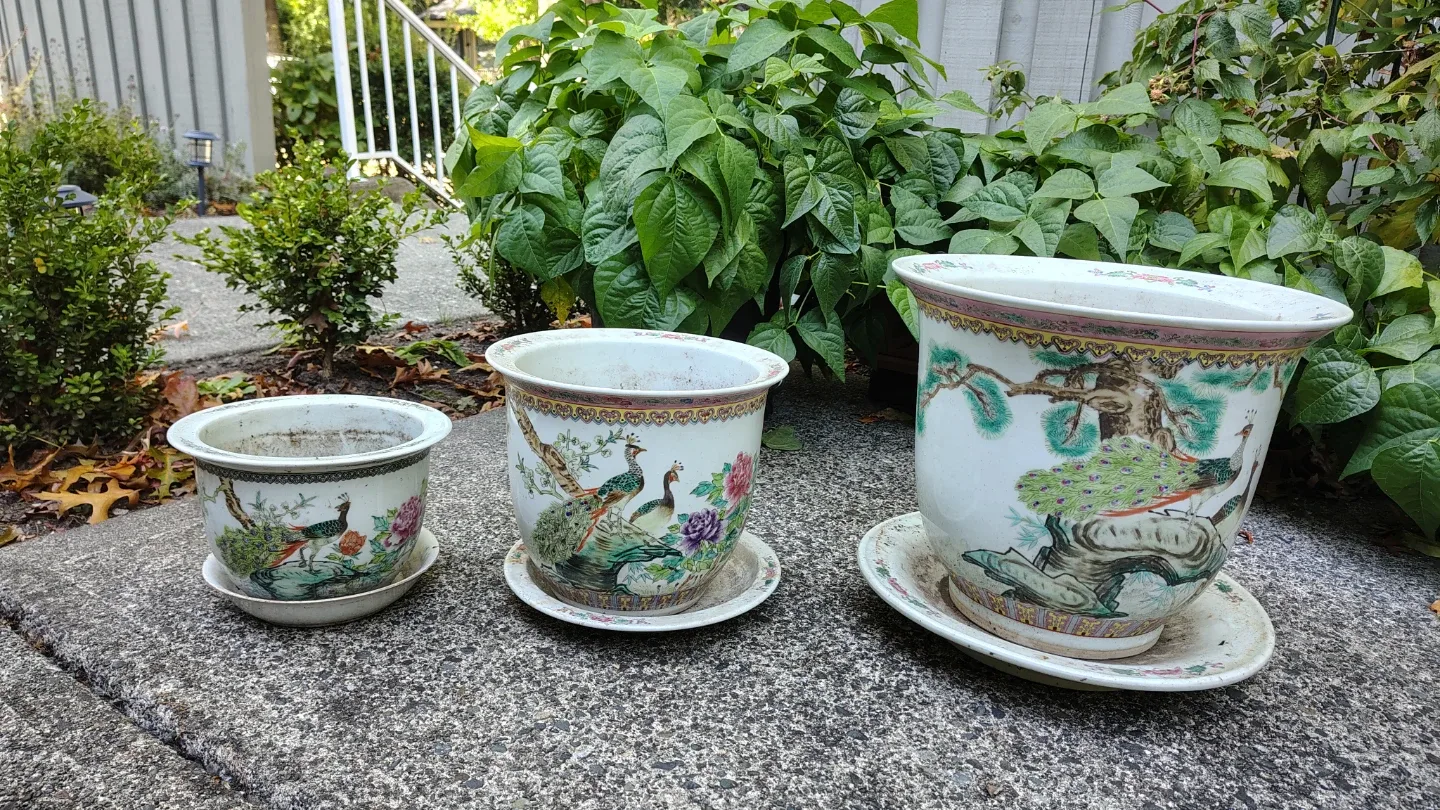 🏈 ceramic plant pots