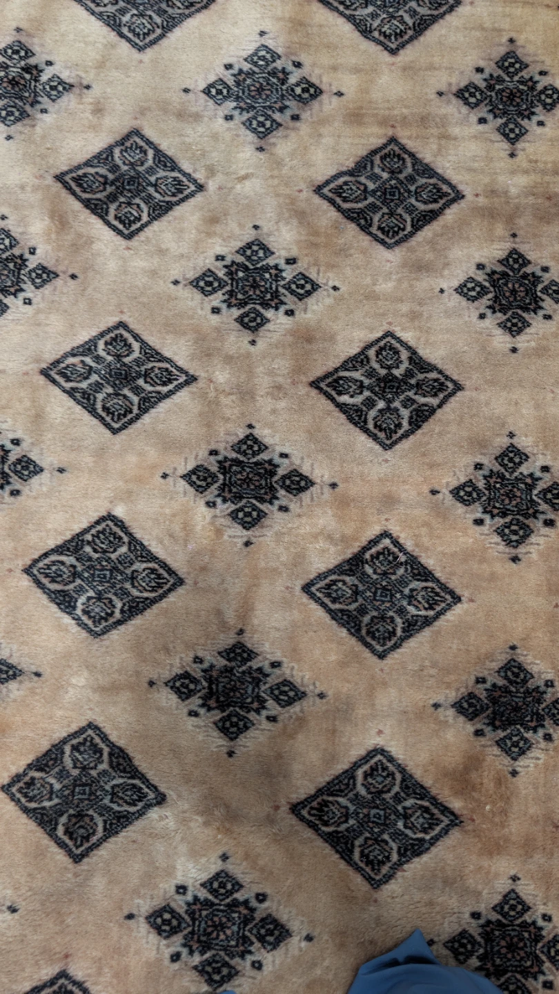 Hand knotted Bokhara Rug - photo 4