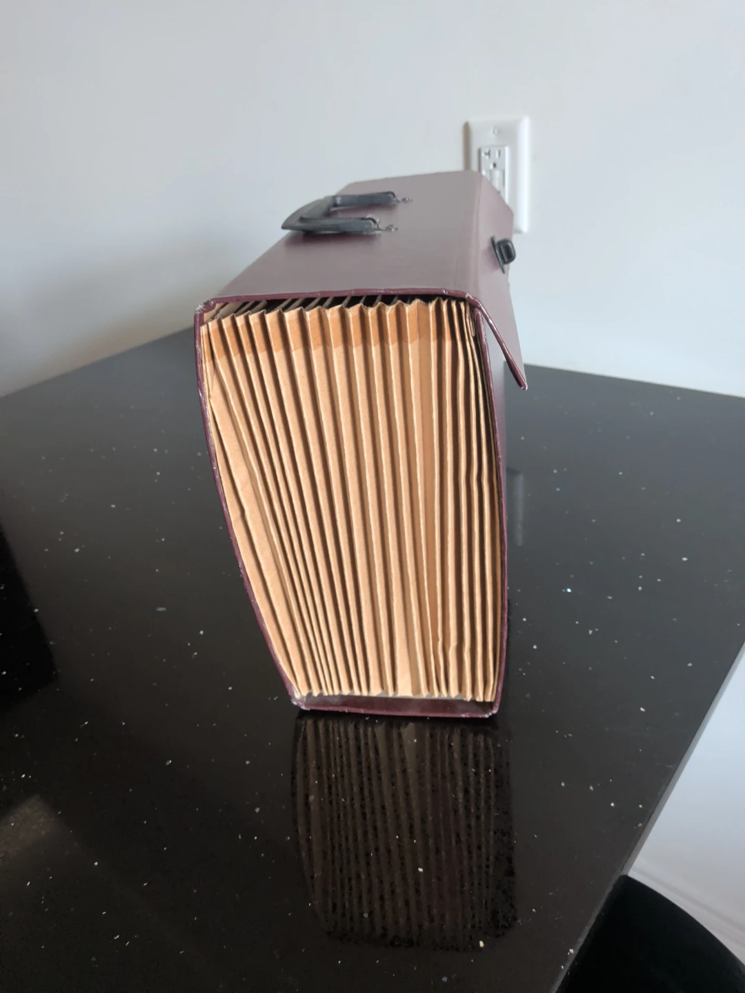 Expanding Accordion Document Organizer - photo 2
