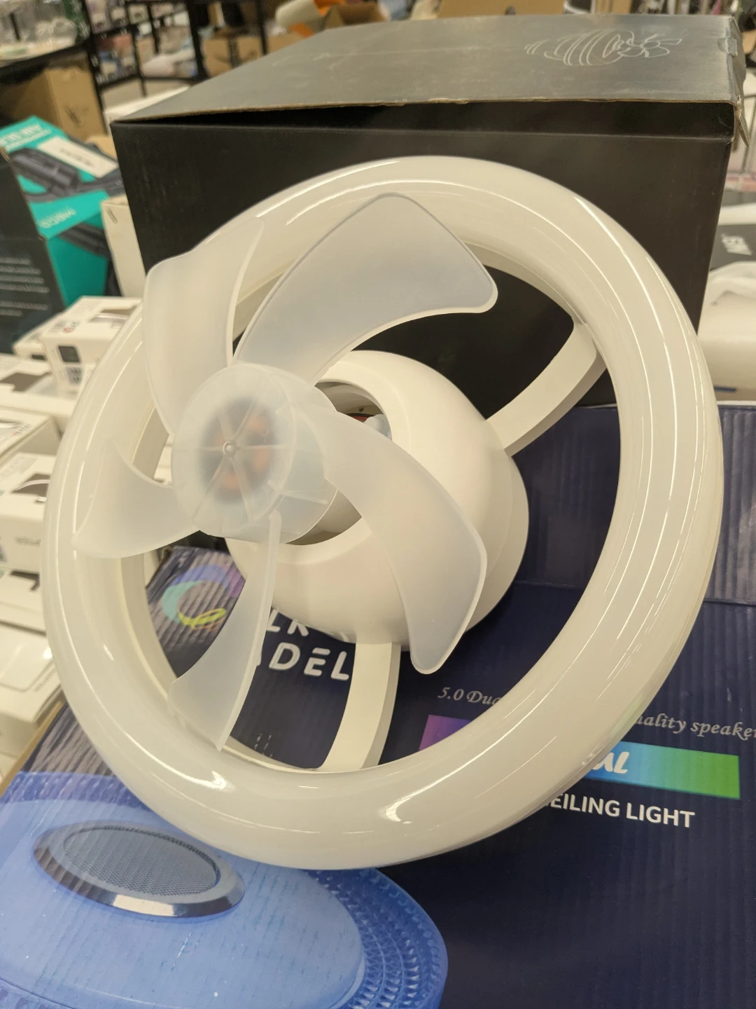 EXHOURME LED Fan Light