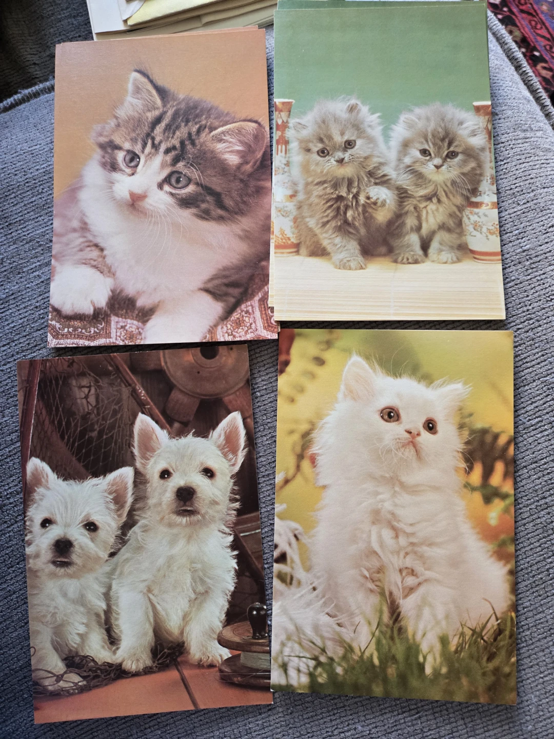 Vintage 1950-60s Set of 4 Kitten and Puppy Greeting Cards