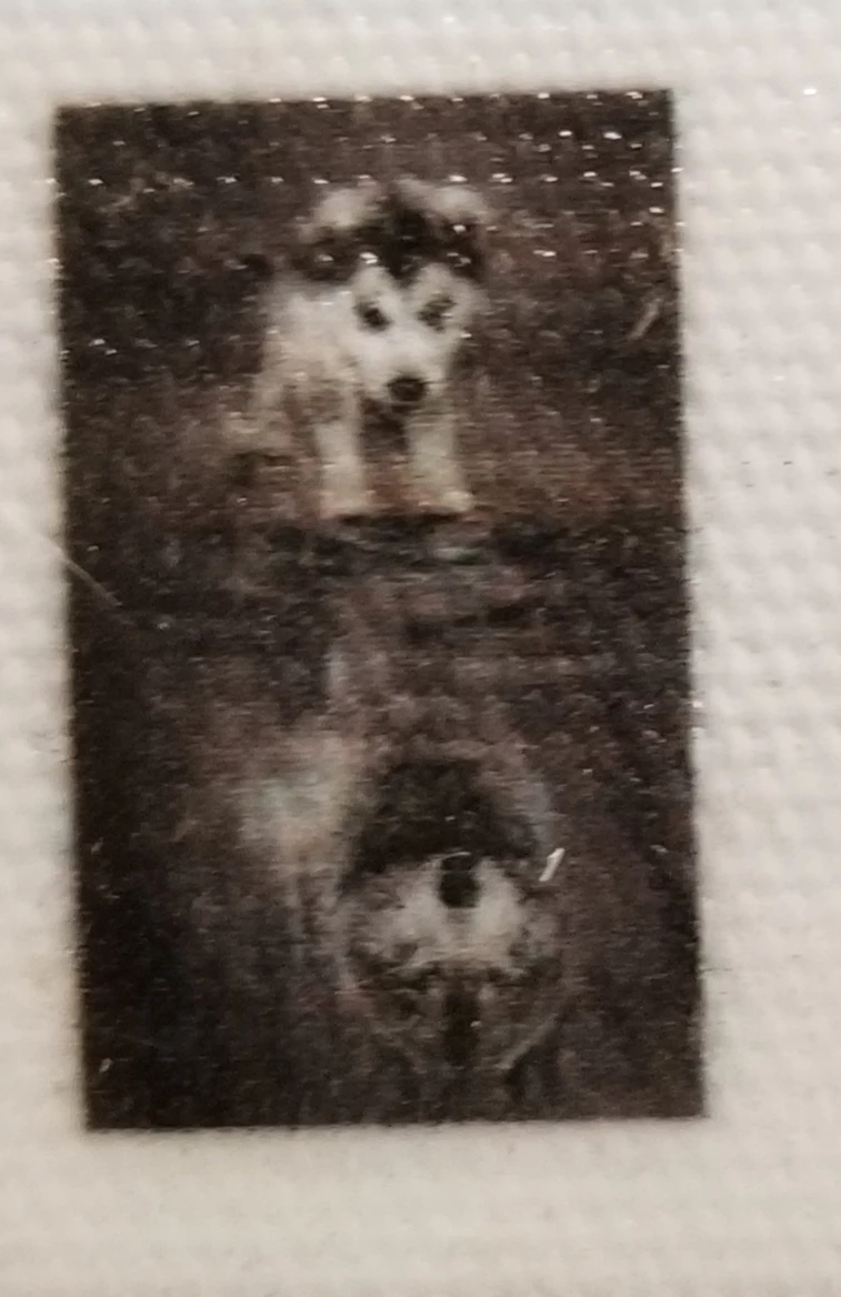 Wolf-themed diamond painting - photo 2