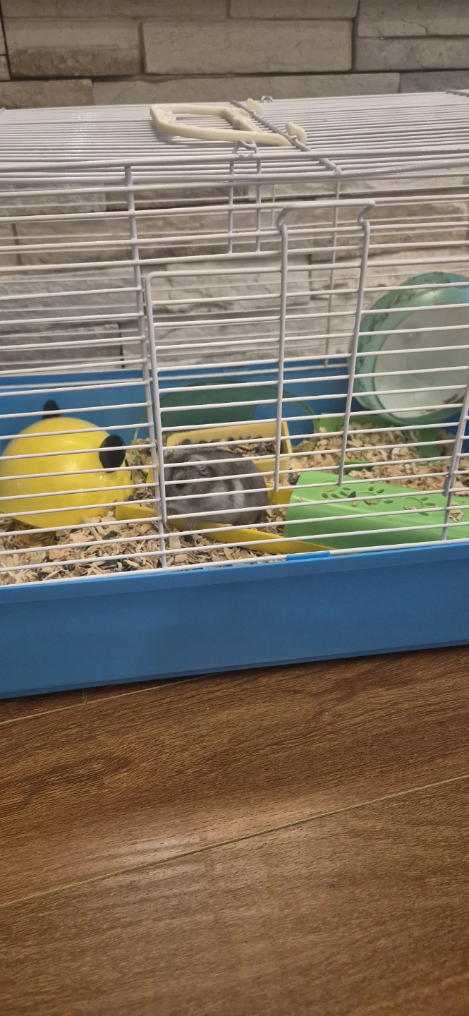 Hamster&Small Pet Cage with hamster accessories