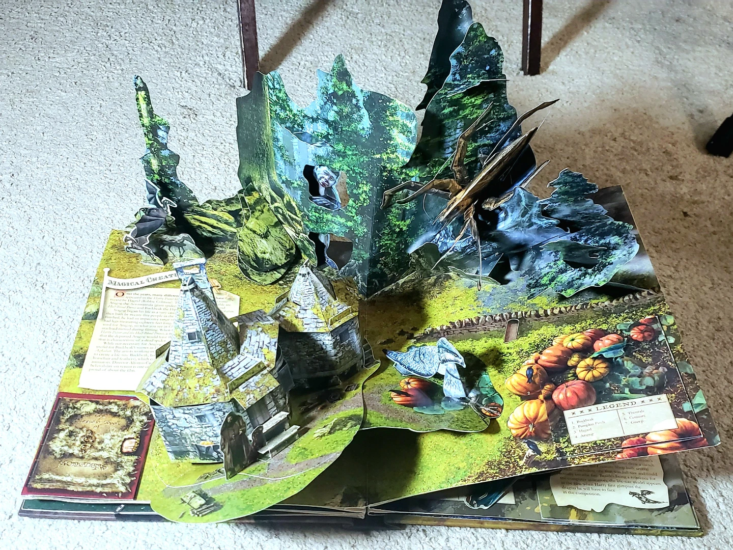 Harry Potter - A Pop-Up Book Based on the Film Phenomenon - photo 4