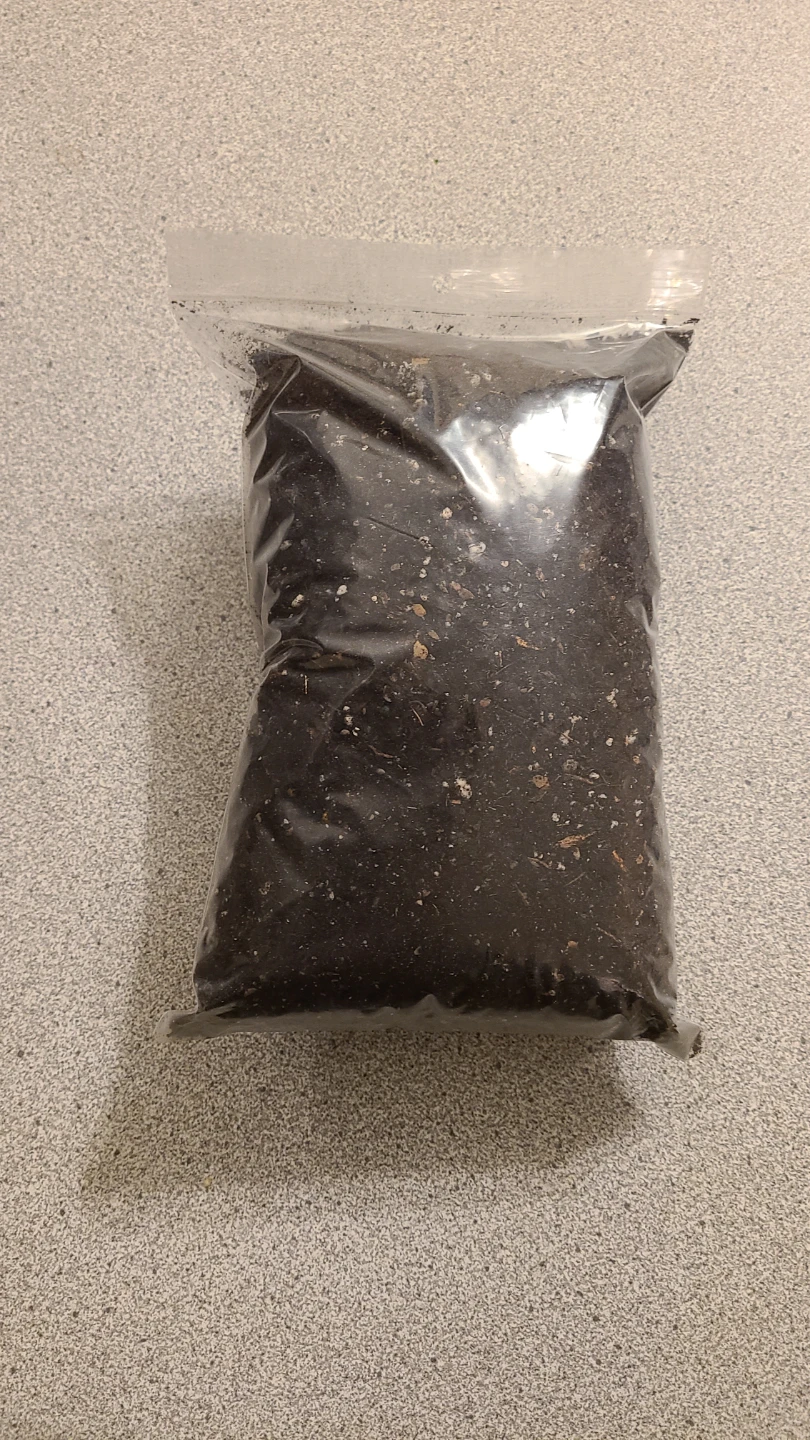 Cactus/Succulent soil