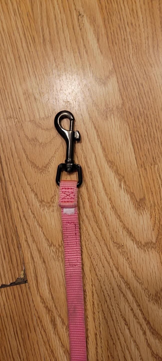 Pink dog leash 6 feet