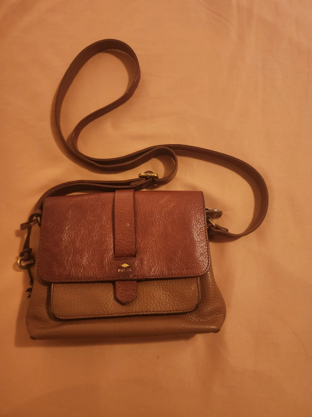Fossil Leather Crossbody Bag