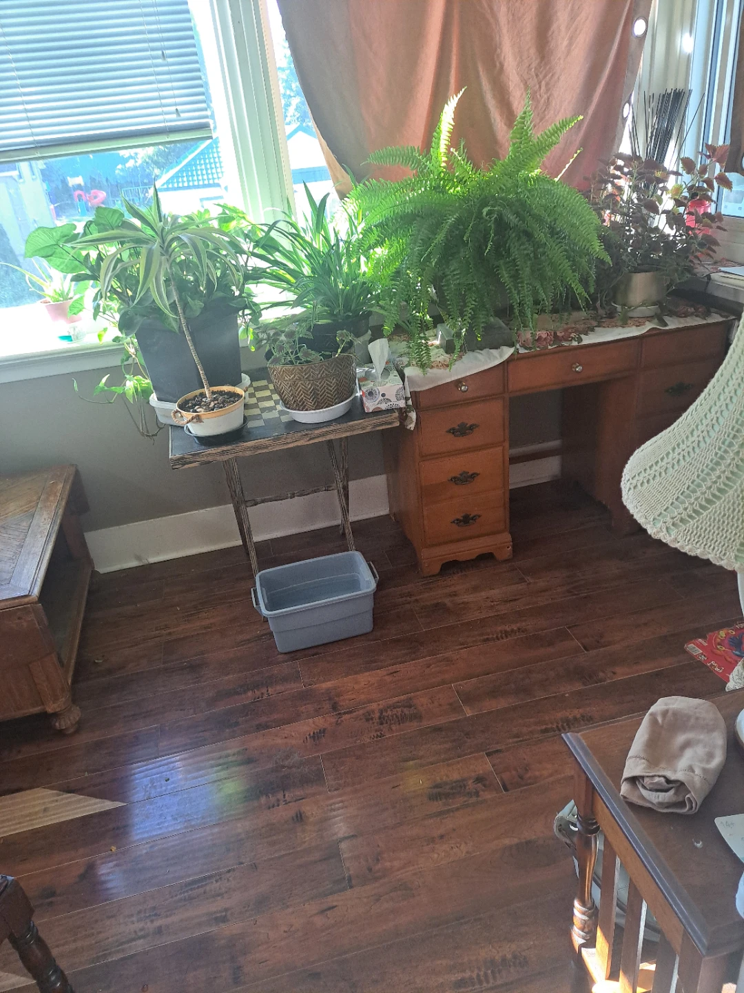 1 Room for rent in 2 bedroom apartment