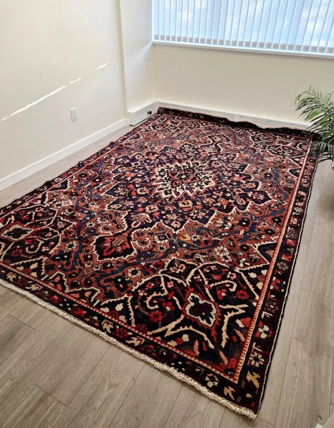 Authentic Persian Hand Knotted Wool Bakhtiyar Area Rug - photo 3