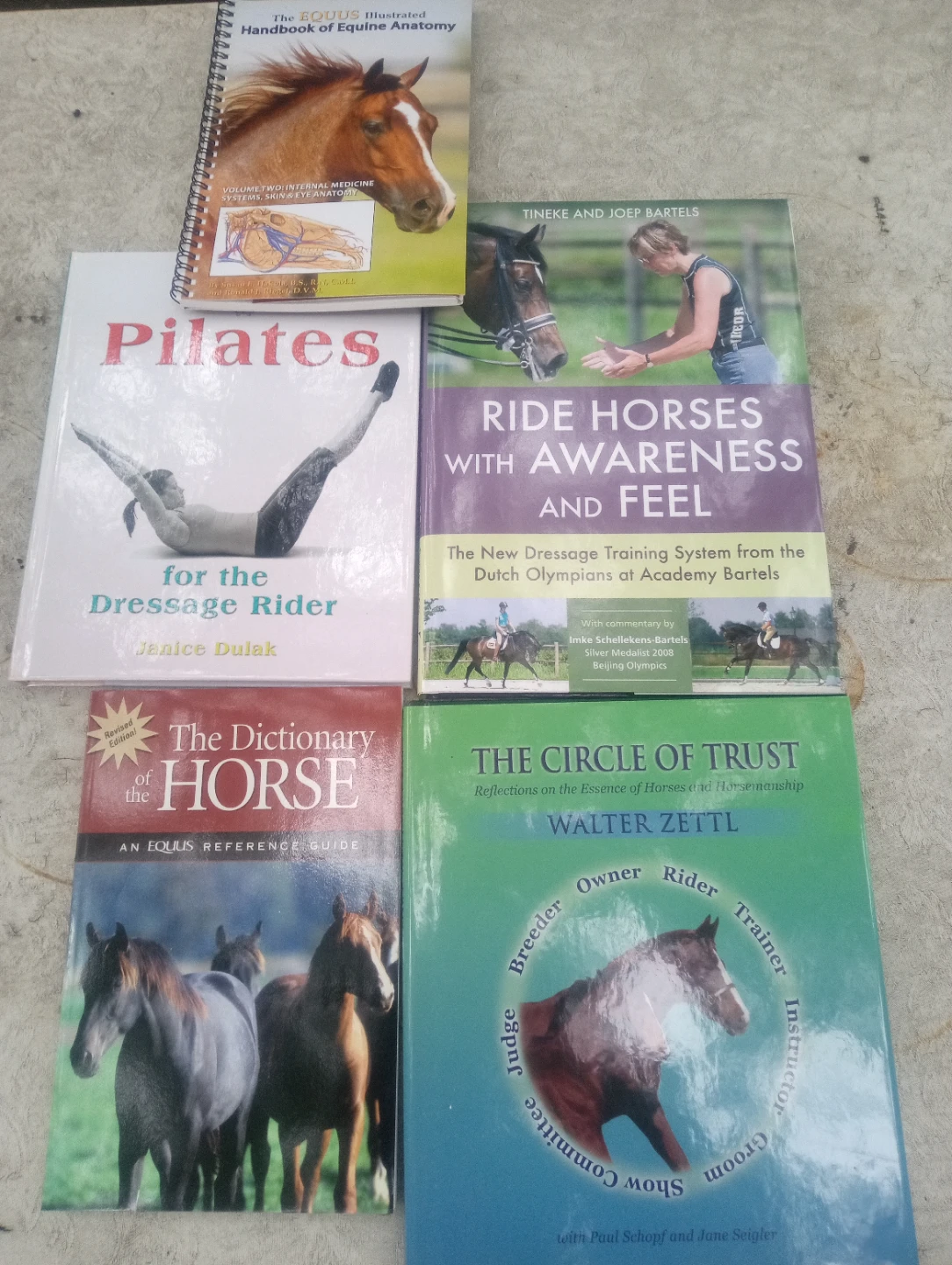 Set of 5 Equestrian Training and Anatomy Books