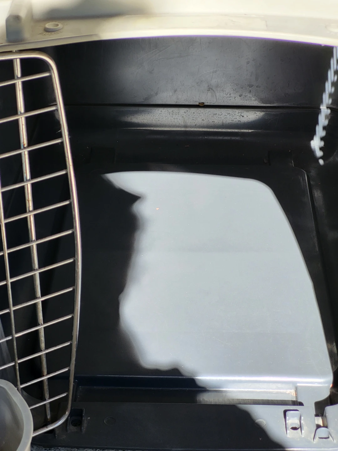 Medium Pet Travel Carrier with Safety Cargo Net - photo 5