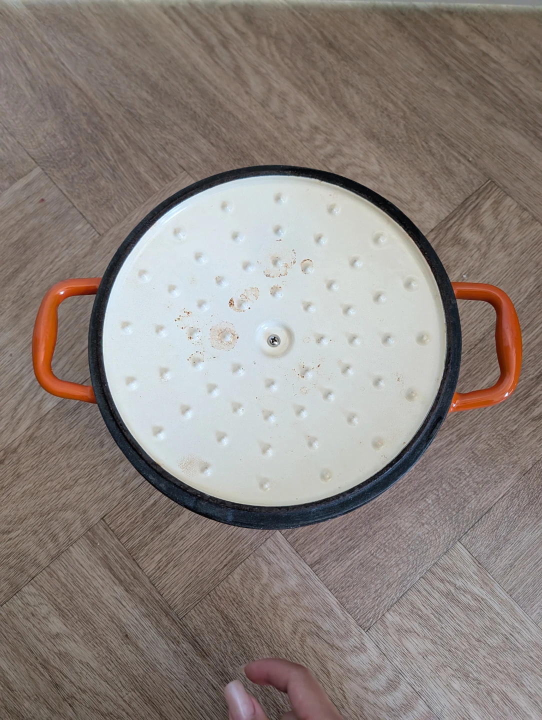 Lagostina Enamelled Cast Iron Dutch Oven - photo 3