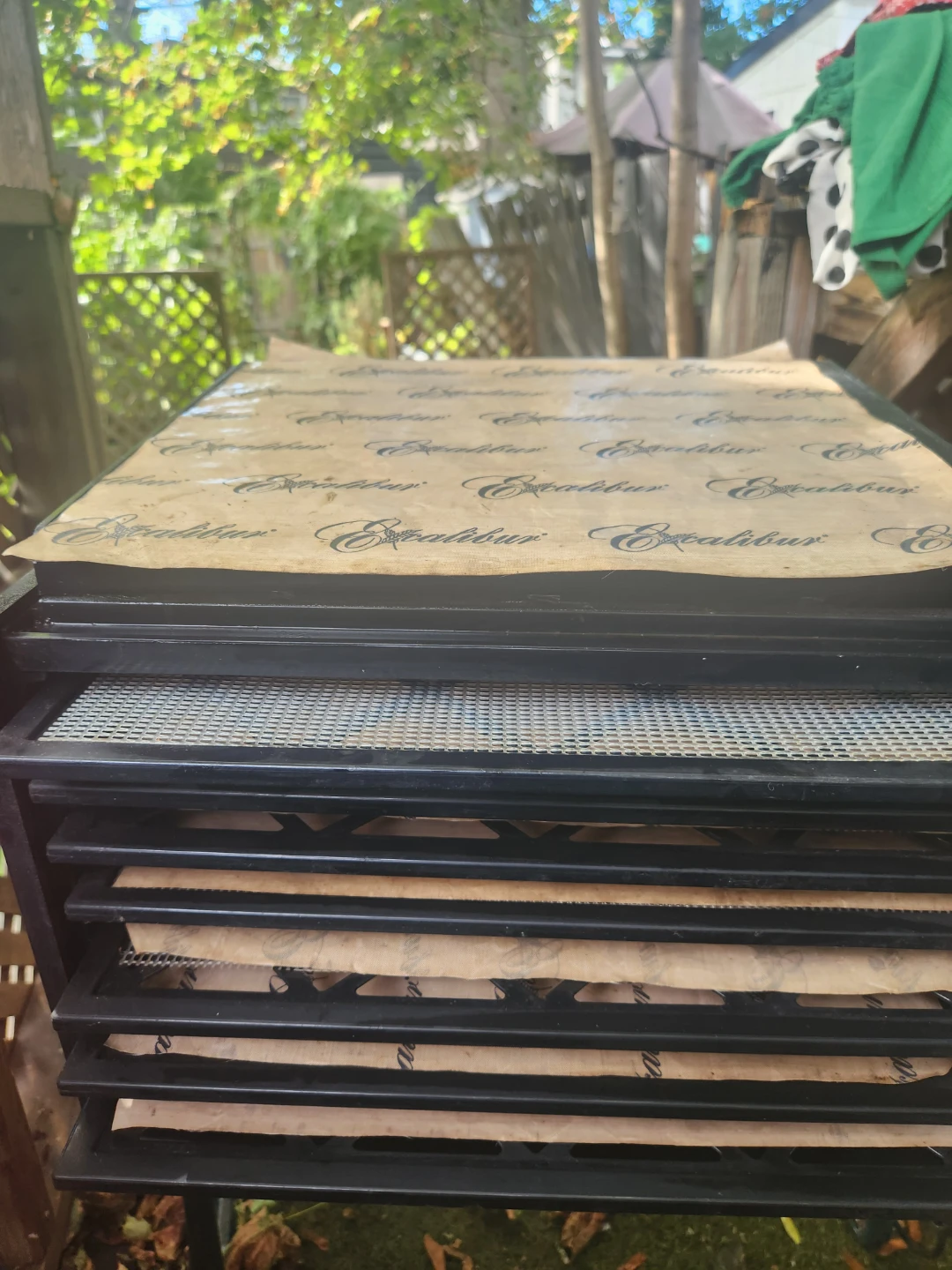 Excalibur Six Tray Dehydrator - photo 2