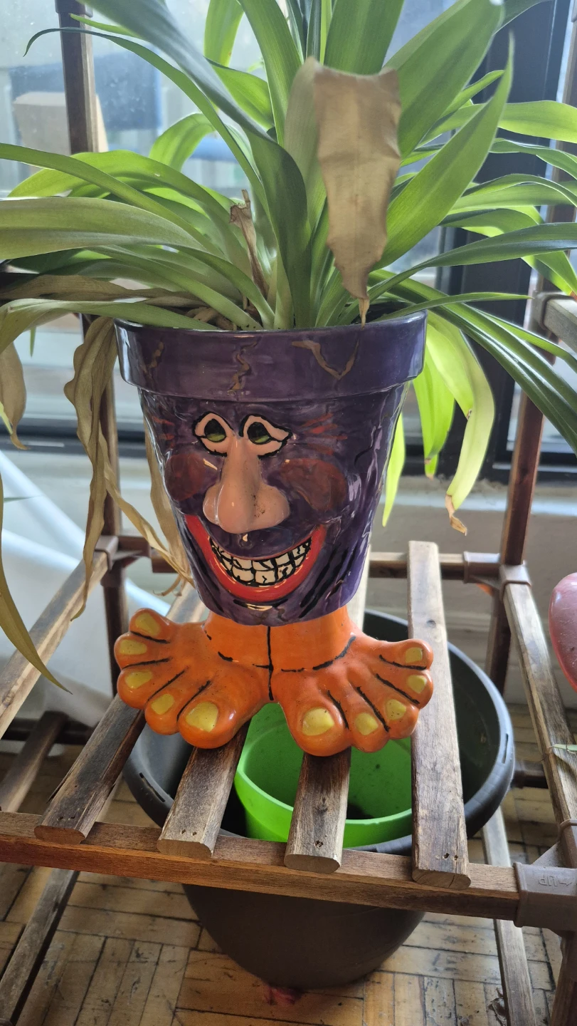 Set of 3 Whimsical Character Planters with Feet - photo 2