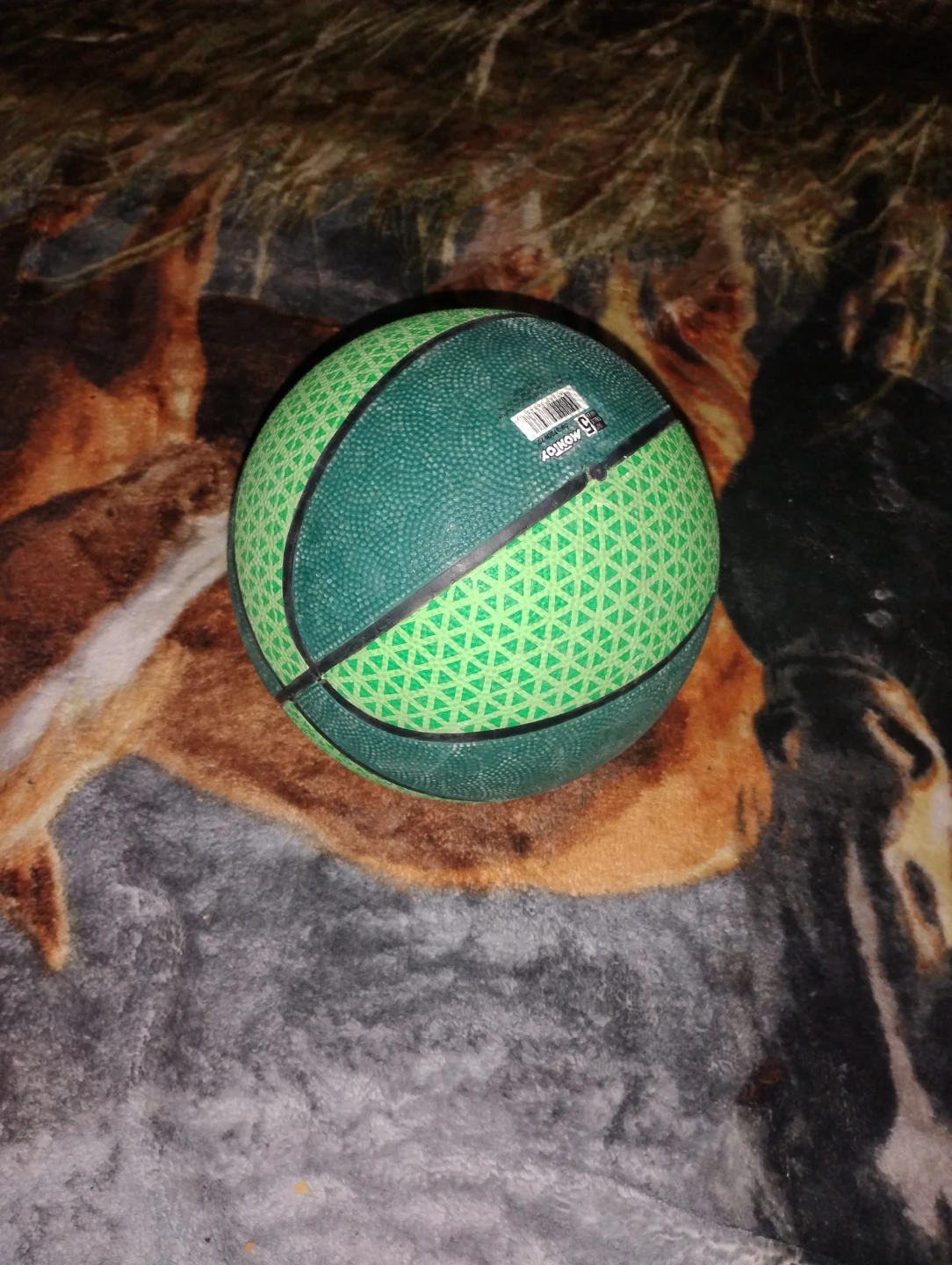 Montoy Size 5 Basketball