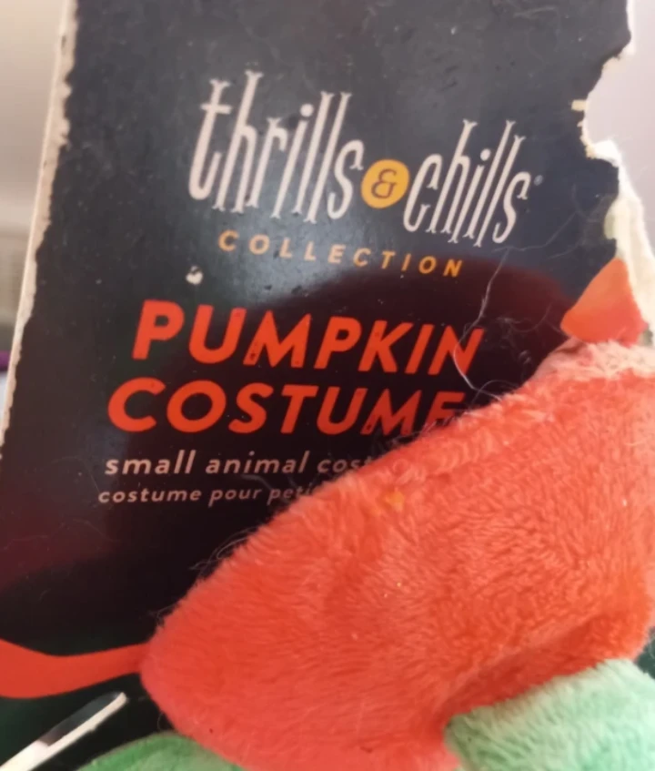 Thrills & Chills Pumpkin Small Animal Costume - photo 2
