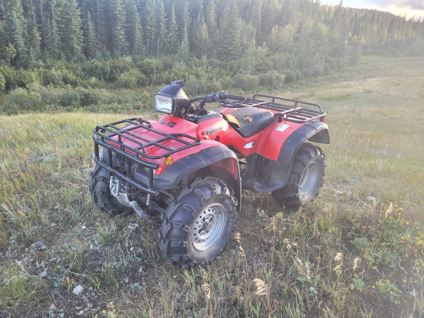2004 Honda 450 Foreman S
