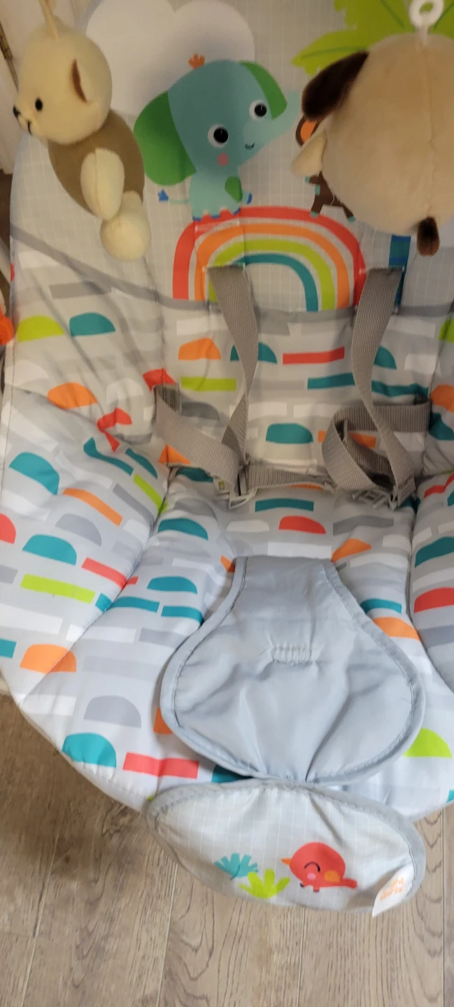 Bright Starts Baby Bouncer Seat - photo 2