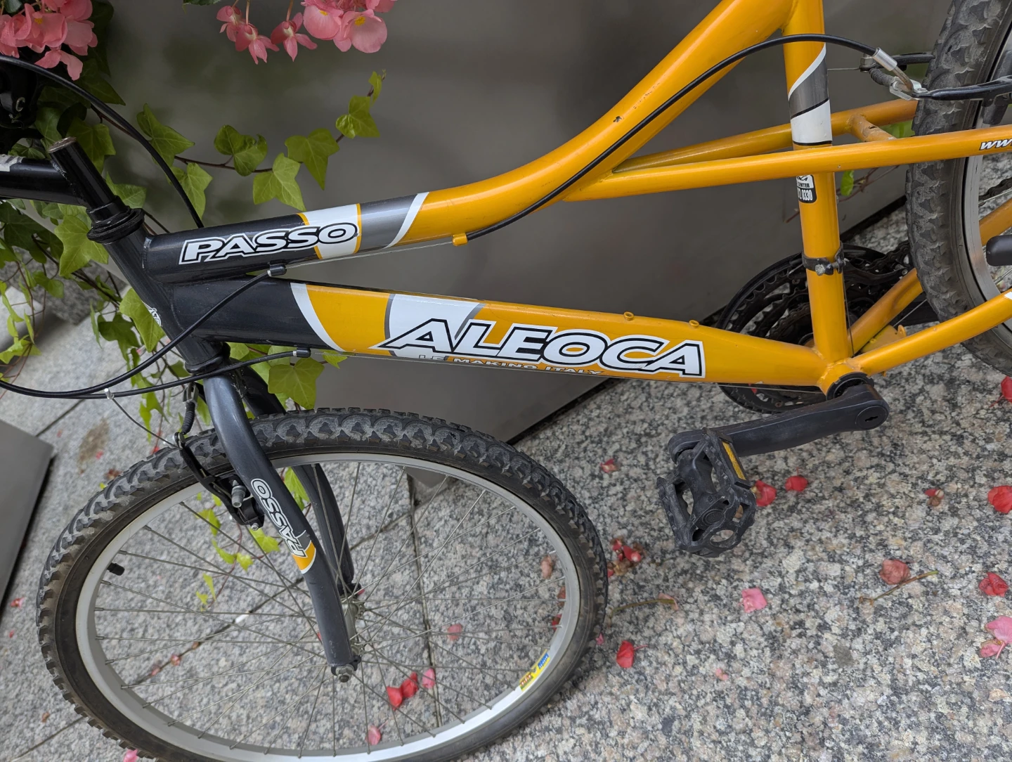 18 speed mountain bike and pump - photo 3