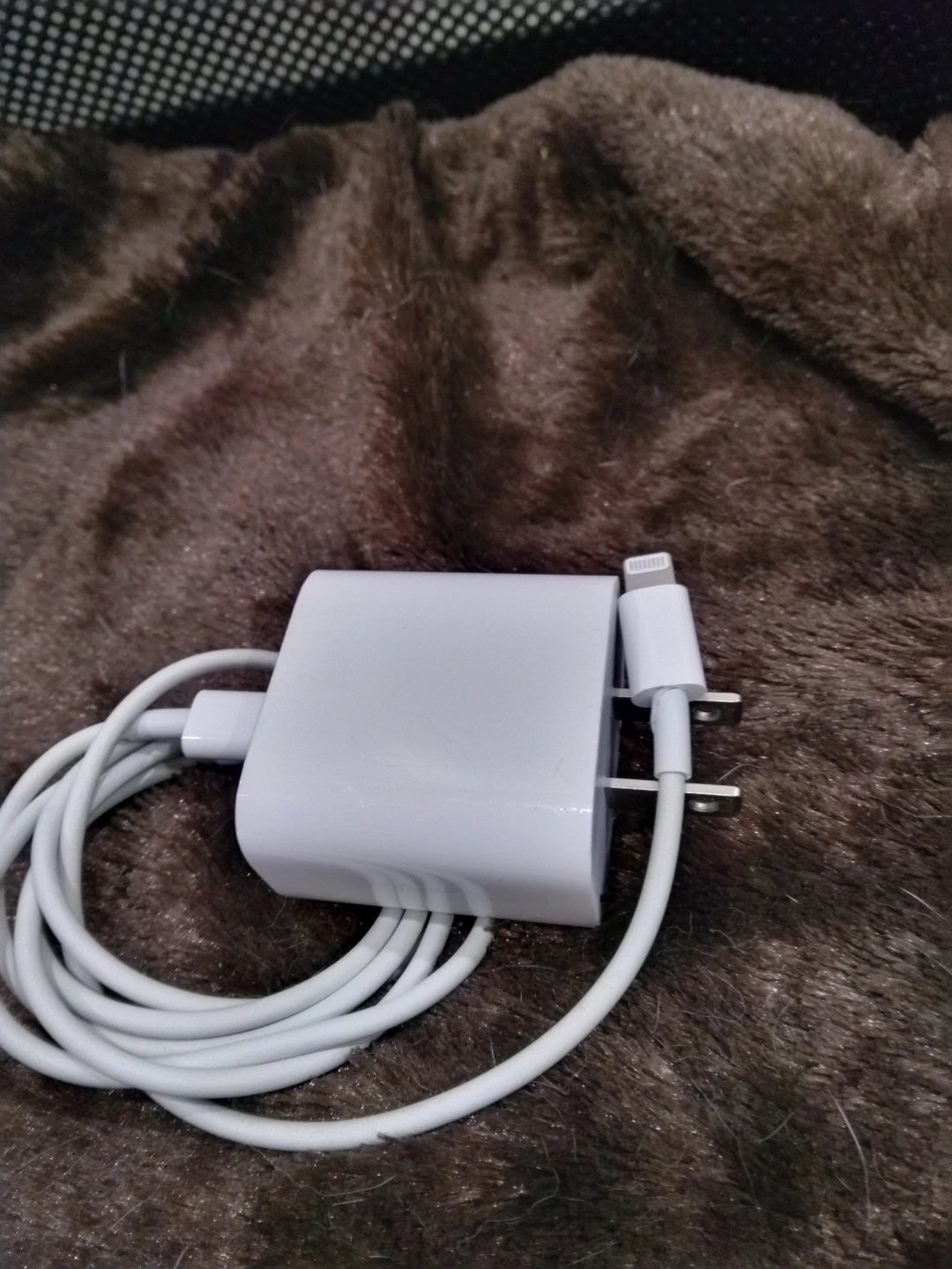 Apple Lightning Power Adapter and Cable