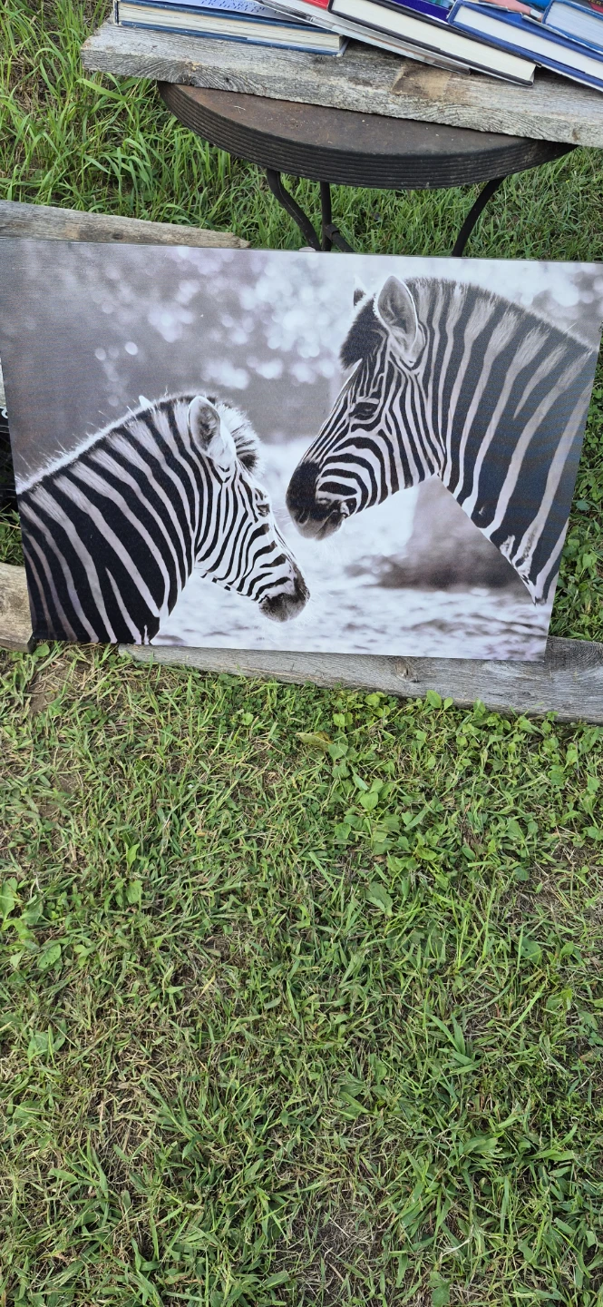 Zebra Canvas Wall Art