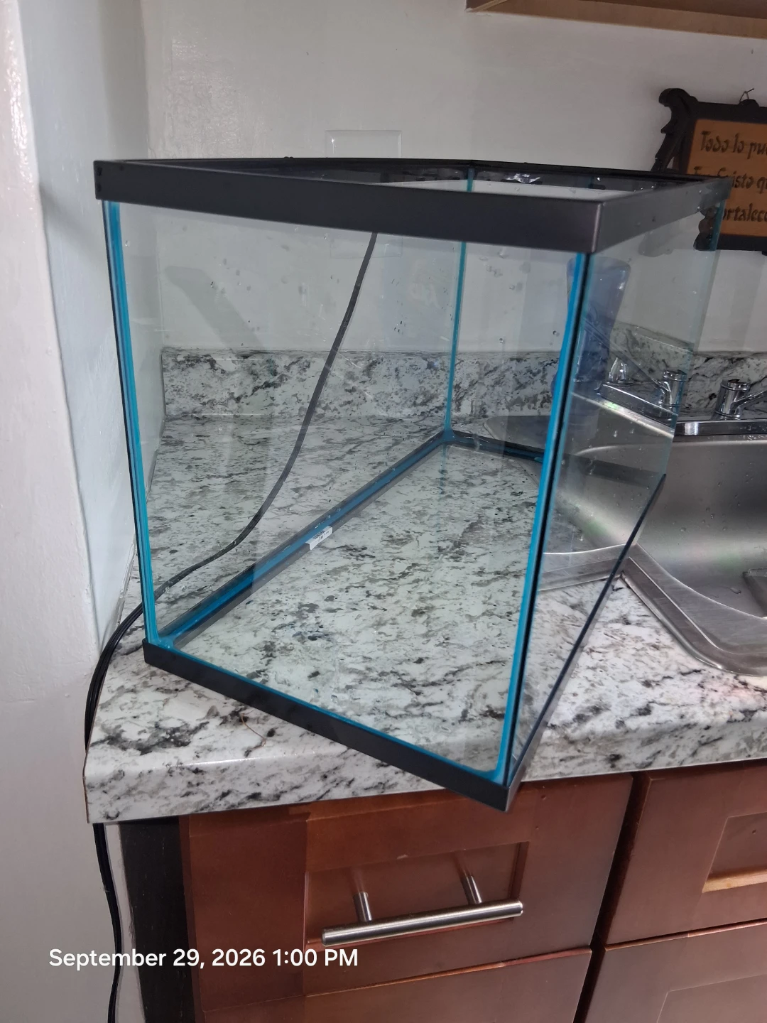 10 gallon Glass Aquarium Tank - photo 2