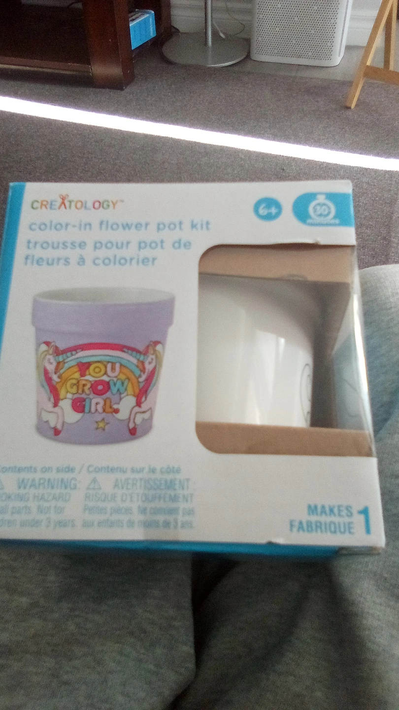 Creatology Color-In Flower Pot Kit